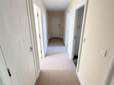 Picture 13
